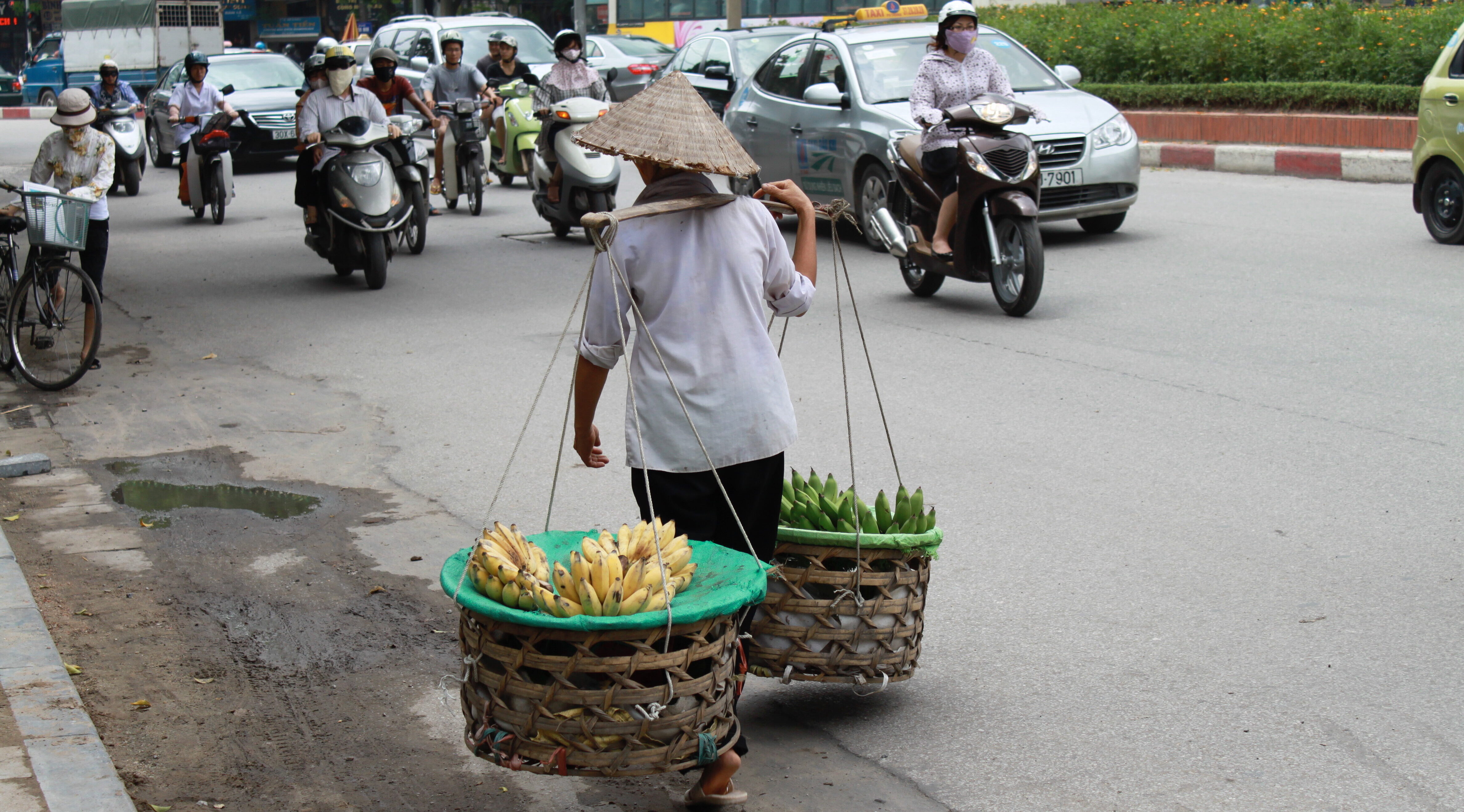 Vietnam rundrejser på land