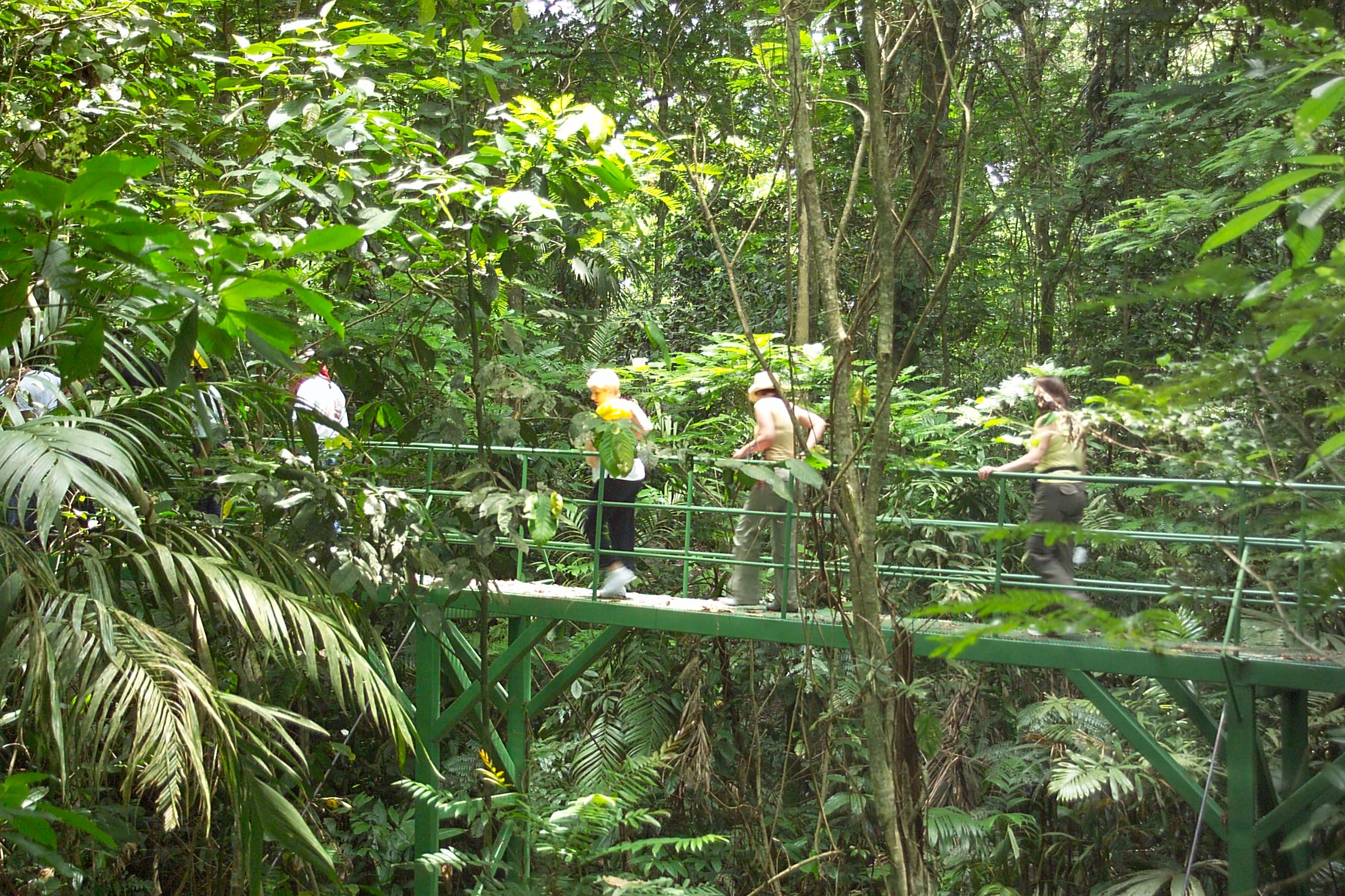 Sky Walk i Costa Ricas regnskove