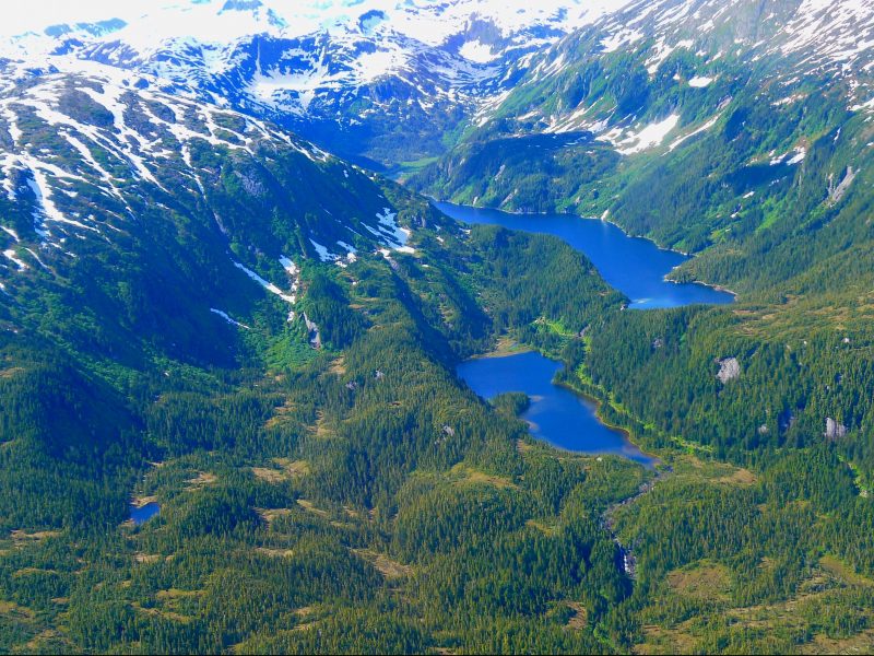 Juneau – United States, 15 June 2014 P1220452