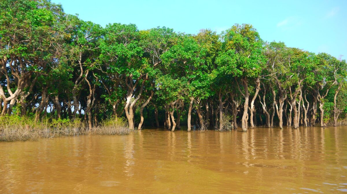 Tonle Sap søen i Cambodia