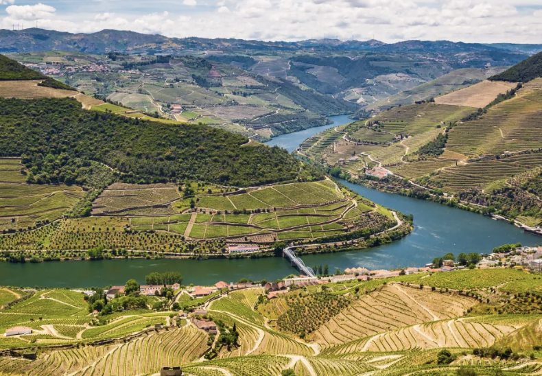DOURO FLODEN